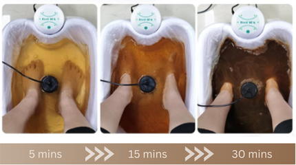 Ionic Detox Foot Bath